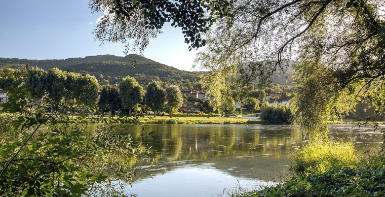 Idées d’activités à Ancenis : réserver une croisière pour découvrir la Loire